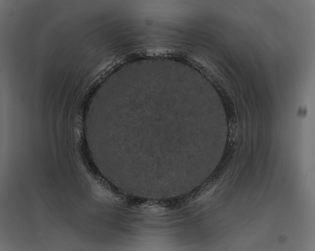 X0000094430648200711211434