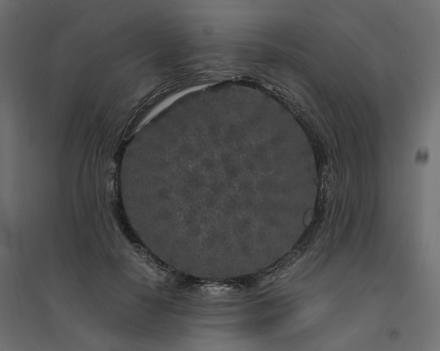 X0000094430650200711211434