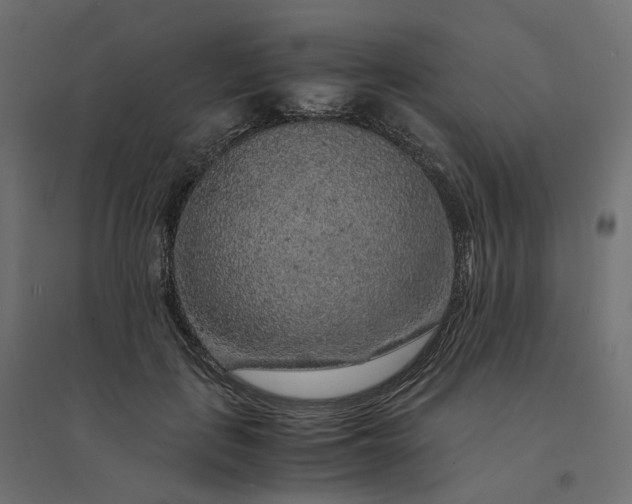 X0000094430651200711211434