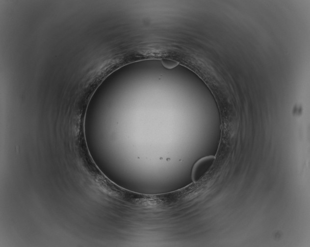 X0000094430652200711211434