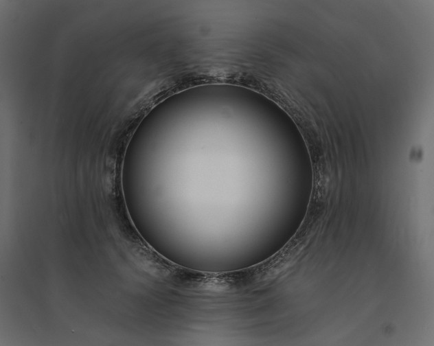 X0000094430656200711211434