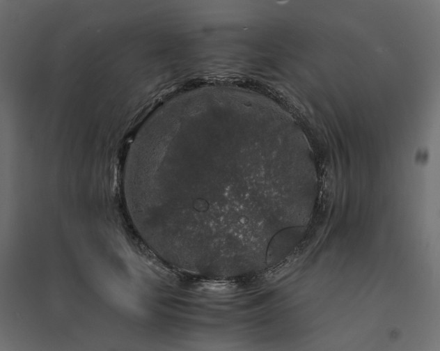 X0000094430659200711211434