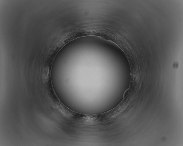 X0000094430660200711211434