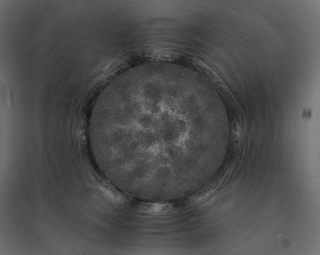 X0000094430663200711211434