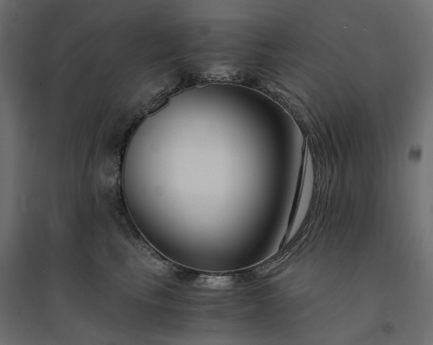 X0000094430665200711211434