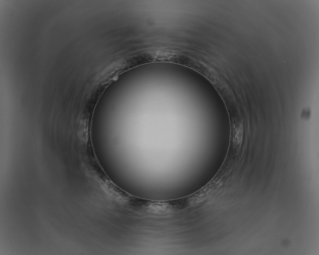 X0000094430666200711211434