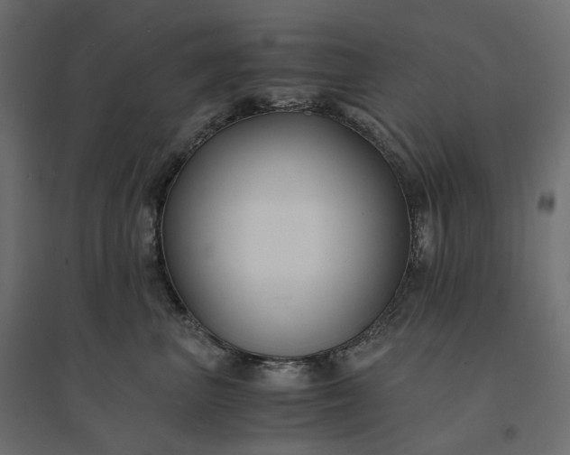 X0000094430667200711211434