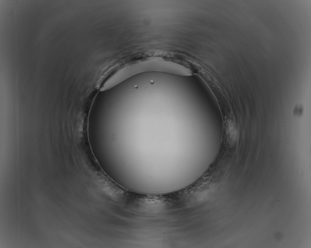 X0000094430668200711211434
