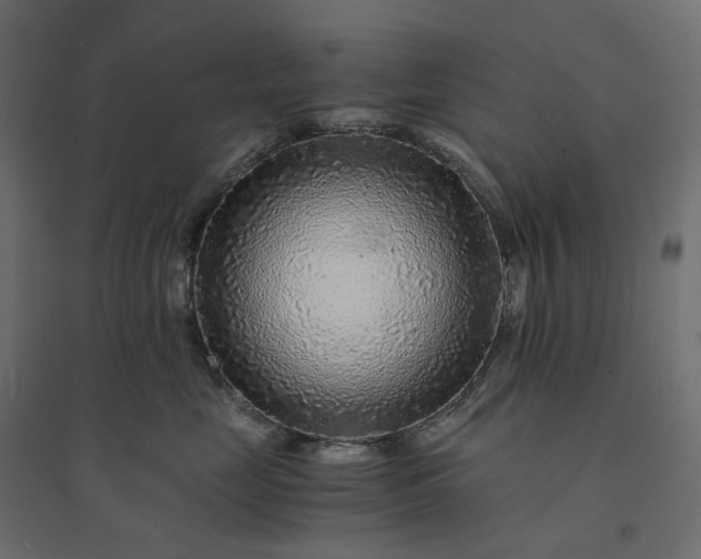 X0000094430669200711211434