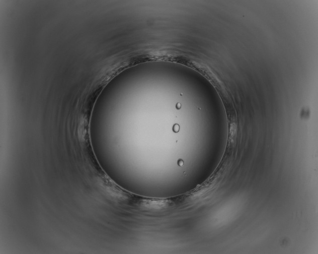 X0000094430671200711211434