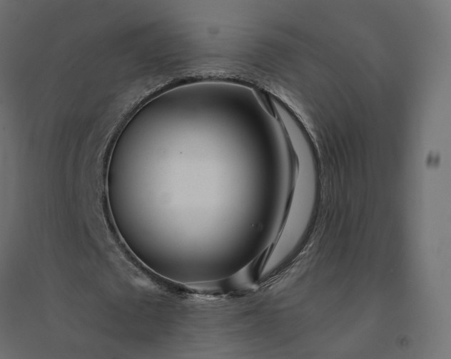 X0000094430673200711211433