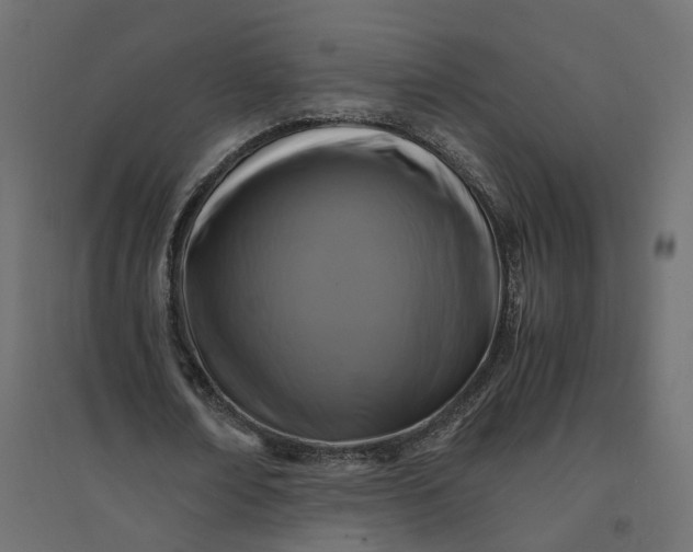 X0000094430674200711211433