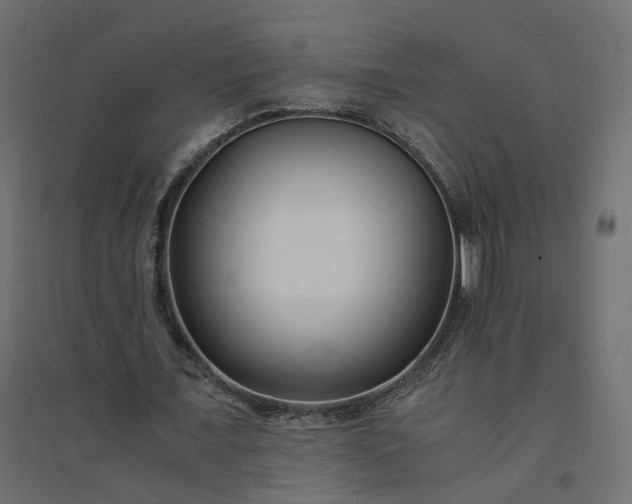 X0000094430675200711211433