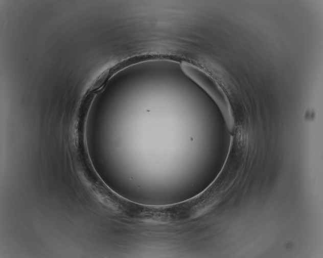X0000094430676200711211433