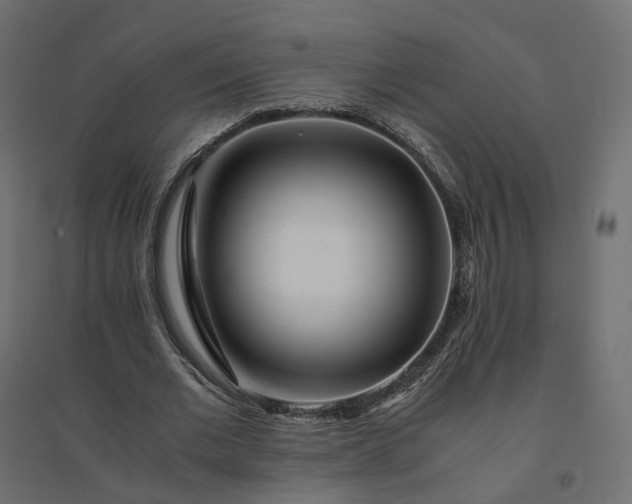 X0000094430677200711211433
