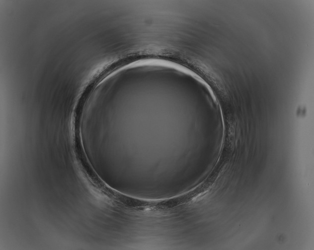 X0000094430678200711211433