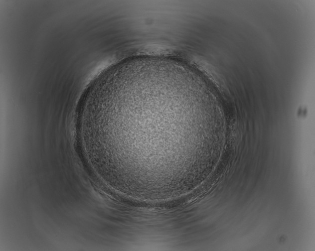 X0000094430679200711211433