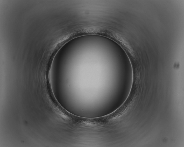X0000094430681200711211433