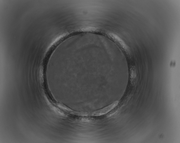 X0000094430684200711211433