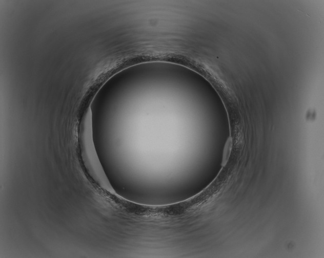 X0000094430685200711211433
