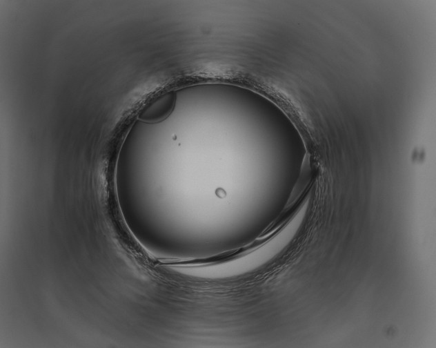 X0000094430688200711211433