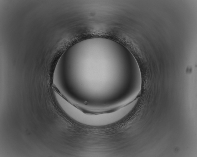 X0000094430689200711211433