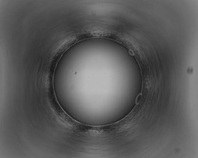 X0000094430690200711211433