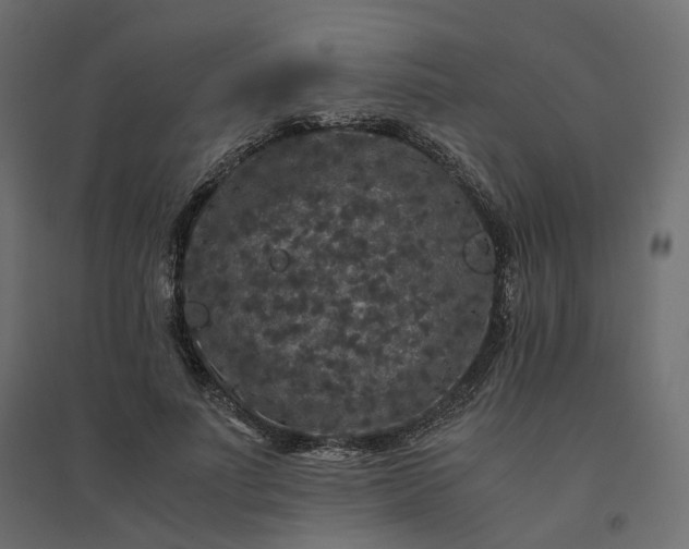 X0000094430691200711211433
