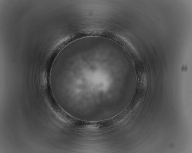 X0000094430692200711211433