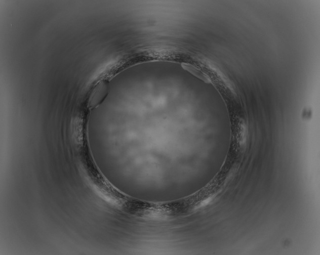 X0000094430696200711211433