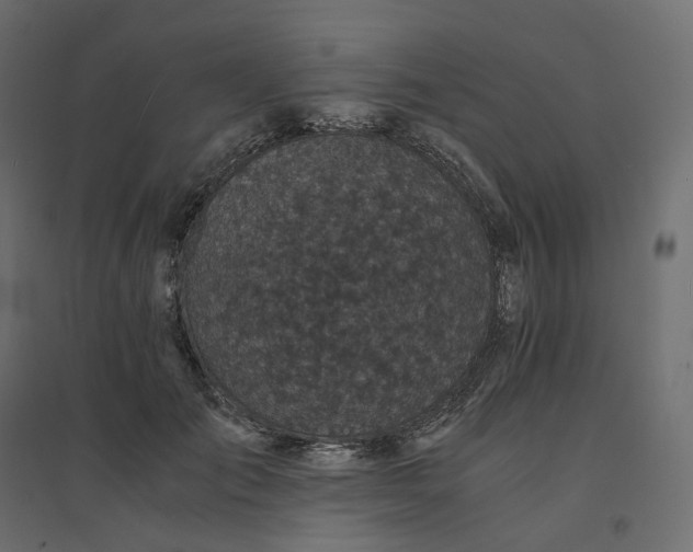 X0000094430701200711211433