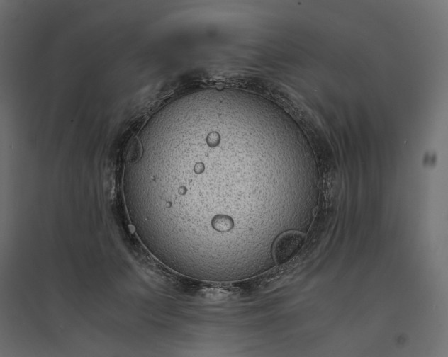 X0000094430703200711211433