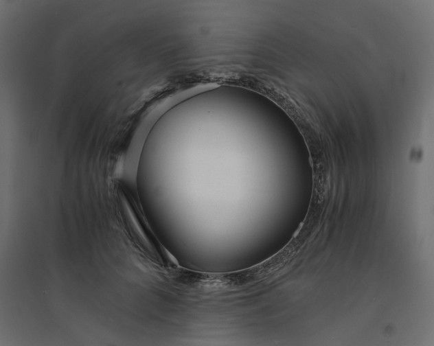 X0000094430704200711211433