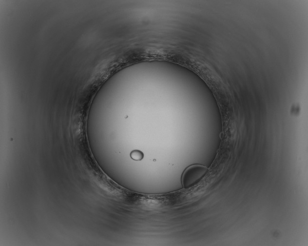 X0000094430706200711211433