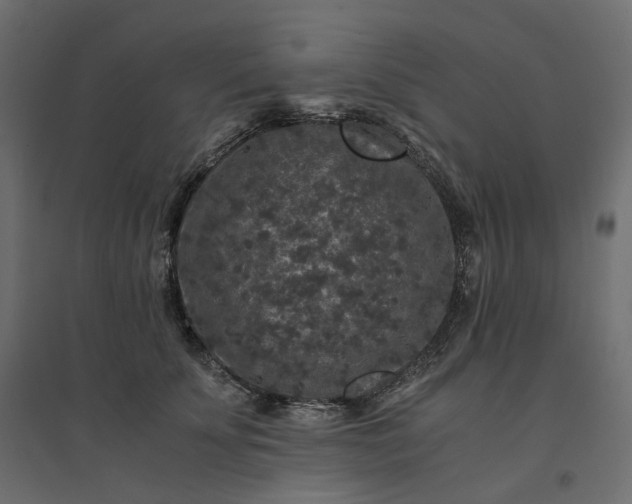 X0000094430707200711211433