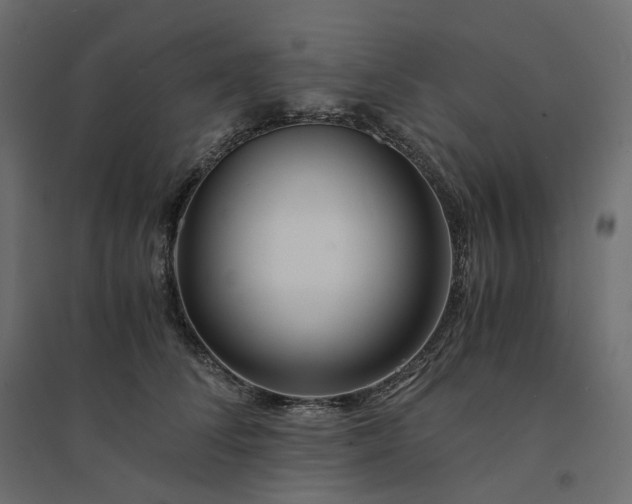 X0000094430708200711211433
