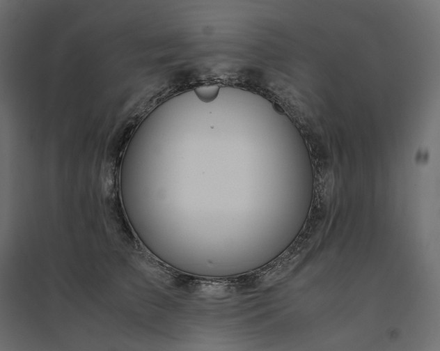 X0000094430709200711211433