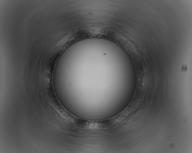 X0000094430710200711211433