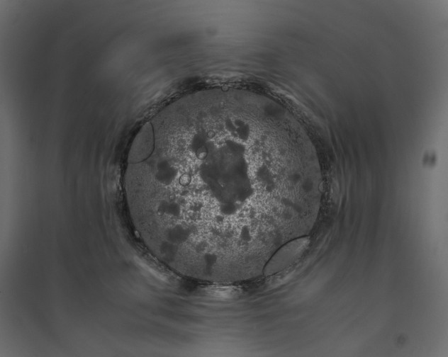 X0000094430711200711211433
