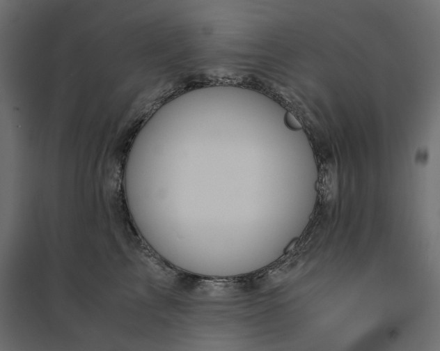 X0000094430713200711211433