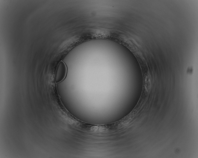 X0000094430714200711211433
