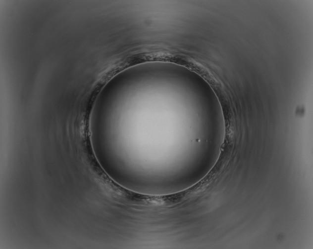 X0000094430715200711211433