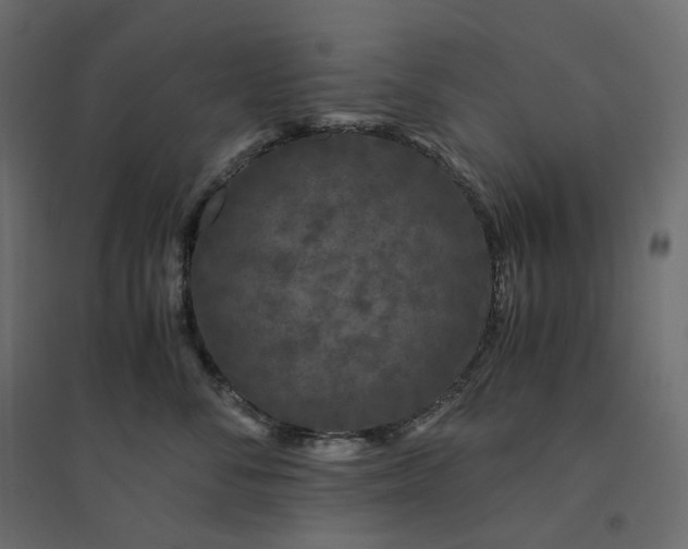 X0000094430716200711211433