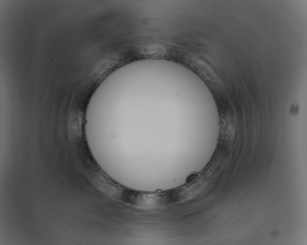 X0000094430717200711211433