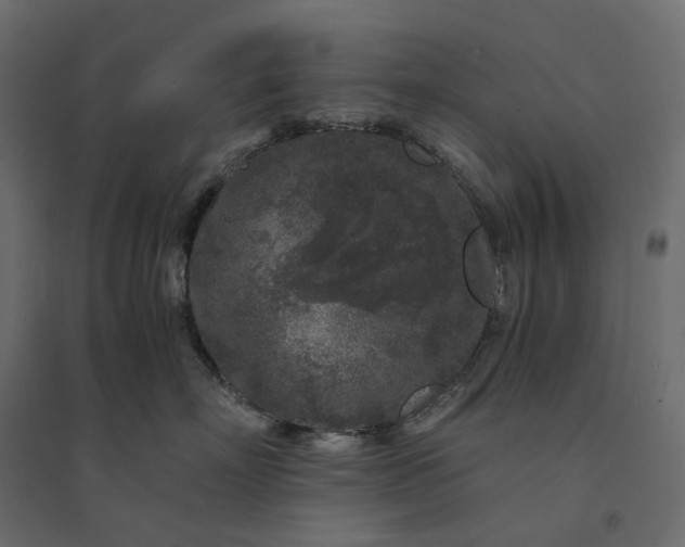 X0000094430718200711211433