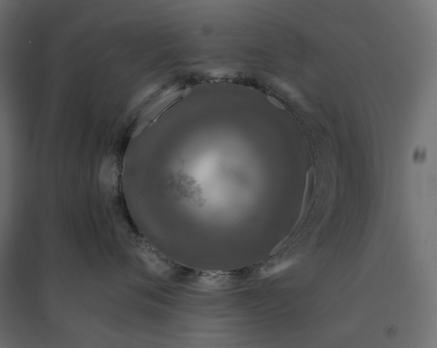 X0000094430720200711211433