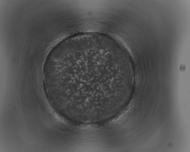X0000094430721200711211432