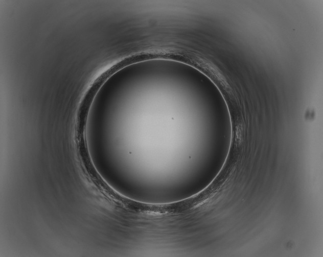 X0000094430724200711211432