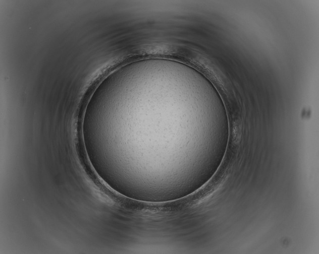 X0000094430725200711211432