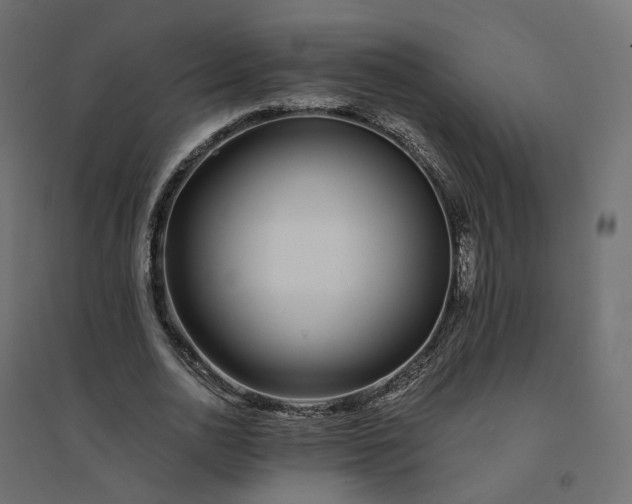 X0000094430726200711211432